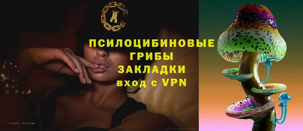 МДПВ Арсеньев