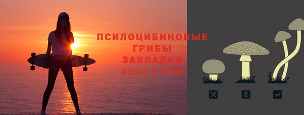 твердый Аркадак