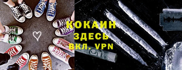 твердый Аркадак